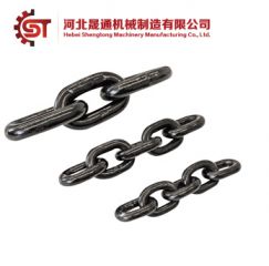 Lifting Chain