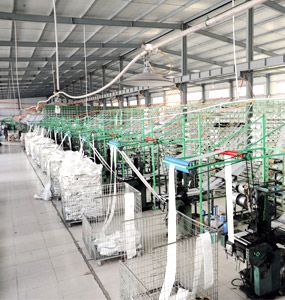 Hebei Shengtong machinery Co.Ltd