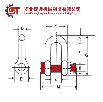 U.S D Type Shackle (G2150)