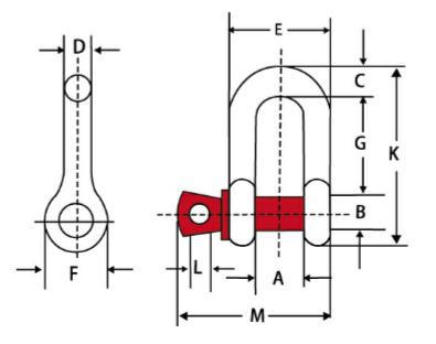 U.S D Type Shackle (G210)